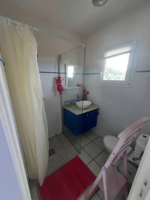 Grand Studio En Bas De Villa Avec Vue Sur Mer Au Carbet Le Carbet Eksteriør billede